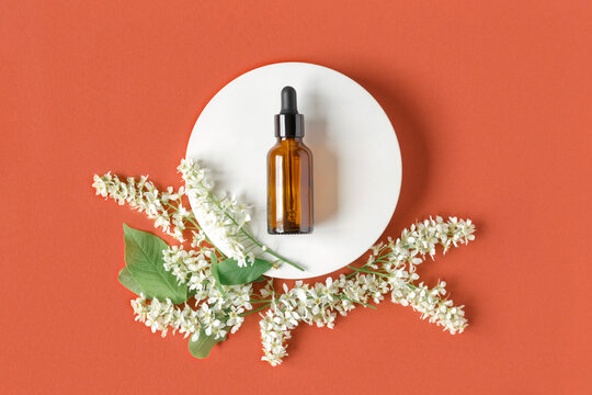 Amber glass dropper cosmetic bottle on oval podium, red orange background. Natural skin care, SPA design. Mineral organic oil. Product Mock-Up. Oily pipette. Flat lay, Top View. White flowers