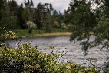 Spring day by the lake