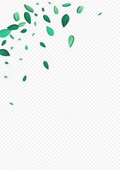 Forest Foliage Flying Vector Transparent