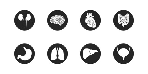 Organ icon set. Human organs. Medicine concept. Flat vector illustration.