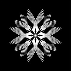 Colourful lace flower on the black background. Vector art design. Flower created from the lines, looking like lace. 