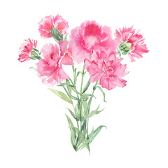 Naklejka na ściany i meble Bouquet of pink carnations. Mother's day postcard.