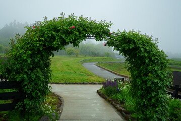 It is pretty warm today