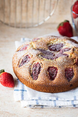 Homemade delicious strawberry one layer cake powdered with sugar. Close up.