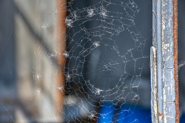 Spinnweben, Spinnennetz, Fenster, gebrochen, Glas, Scheibe, Glasscheibe, gebrochen, Splitter,...