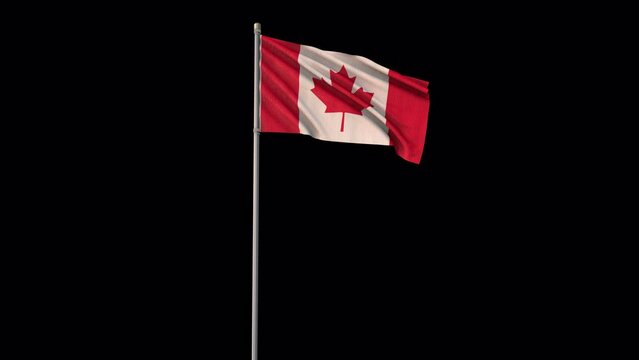 Canada flag, 4k video background is transparent