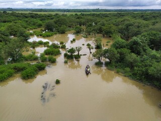 Ratargul Swamp Forest in Sylhet, Bangladesh