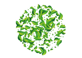 Forest Greens Falling Vector White Background.