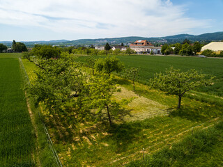Obraz premium Aerial drone view of farmland of the Taunus in Hessen, Germany