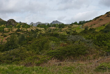 Langdale Pike from Side Gates near Blea Tarn Cumbria, Lake District National Park