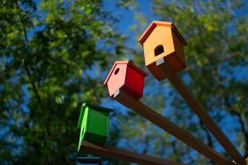 Houses for birds. Colored wooden houses. An element in the park. Art object for animals.