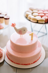 stylish children's candybar with a cake and macarons for a one year party in gentle tones of white and pink colors