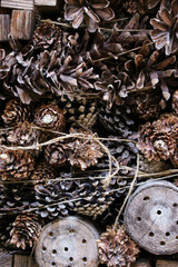 House for insects. Bug hotel. Photography of bugs house. 