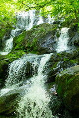 waterfall in the forest