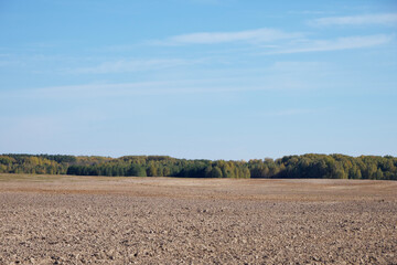 Farmland. Clear blue sky over a cultivated field. Landscape.
