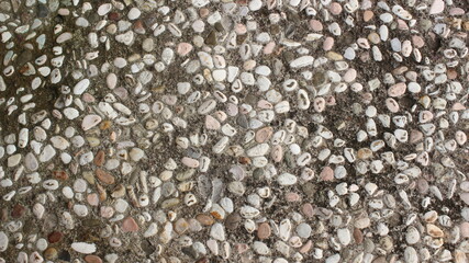 background texture of the gravel floor