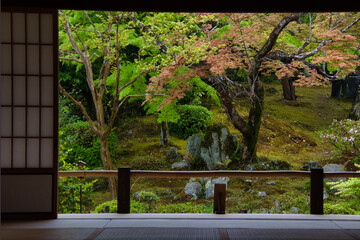 A beautiful Japanese garden with fresh green seen from the back of a Japanese-style guest room.    Arashiyama Kyoto Japan

