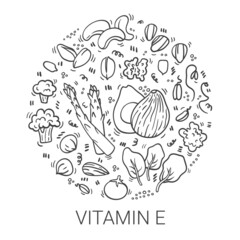 Vitamin E doodle outline illustration in circle. Hand drawn illustration of different food rich of vitamin E.  Broccoli, spinach, sunflower seeds, hazelnut, almond, asparagus, avocado, wheat germ.