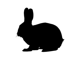 Easter Bunny Rabbit Illustration Vector Graphics Image for free EPS