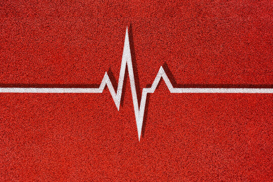 Conceptual cardiogram of the heartbeat