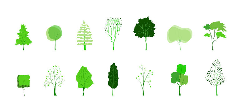 illustration of gardening and landscape, Pictures of various forms of trees for work, different types of tree paintings
