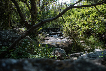 Fototapeta na wymiar Arroyo entre montañas con tecnica de agua sedosa