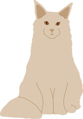 Light cat breed Maine Coon sits on its hind legs