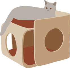 Gray British cat lies on the roof of his house