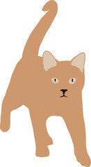 Red kitten with big ears stands in full growth