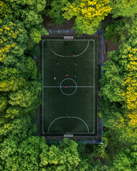 Top view of a soccer field in the forest, tall trees around the stadium © SDF_QWE