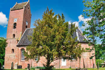 Fototapeta na wymiar The 13th-centrury Romano-gothic Sint-Lutgerkerk (St Liudger Church), with a huge tree in the churchyard, in the Dutch village of Garnwerd, province of Groningen, the Netherlands 