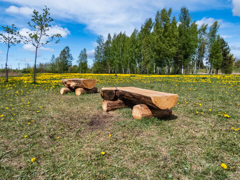 Wooden DIY log benches made of big tree trunks. Handmade, wooden, natural log benches in an outdoor scenery in a meadow full with dandelions and sky in background