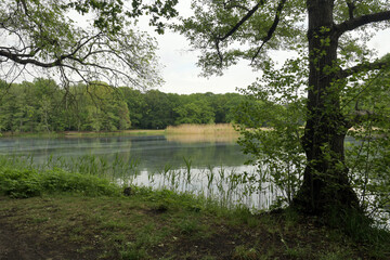 jungfernheide