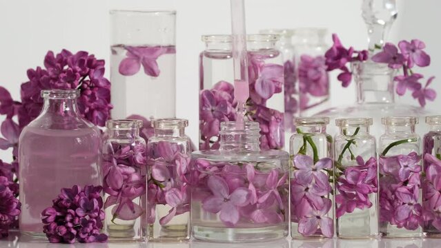 Floral perfume with the scent of lilac. Perfumery. Oil essence with lilac flowers. Production of perfumes in laboratory. Drops of essential oil from cosmetic pipette fall into perfume slow motion