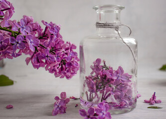 Obraz na płótnie Canvas Lilac extract in a glass bottle on a light background