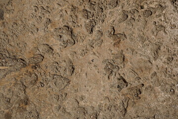 stone with ridges and indentations, background