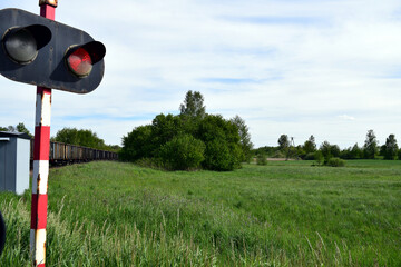 Sygnalizacja świetlna przy przejeździe kolejowym. Wiosenna bujna zieleń na łące oraz kępy drzew i krzaków. 
