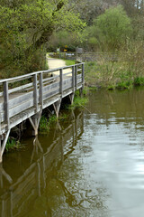 passerelle en bois