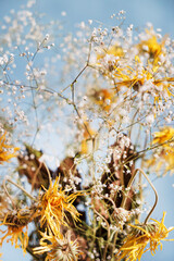 dry flowers bouquet on the blue background