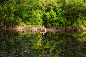 Obraz premium Spring sunset landscape on the river