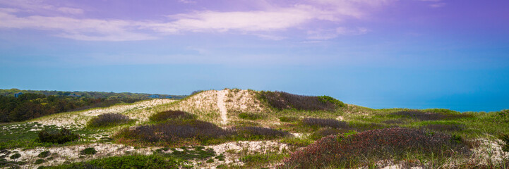 Fototapeta na wymiar Panoramic green sand dunes, purple and blue sky. Tranquil and beautiful wilderness landscape at Sandy Neck Beach Park on Cape Cod in Massachusetts.