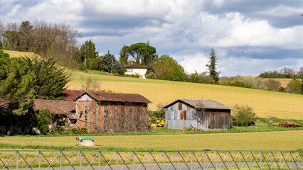 Obraz premium Old country house, in the middle of the fields, on a beautiful sunny spring day