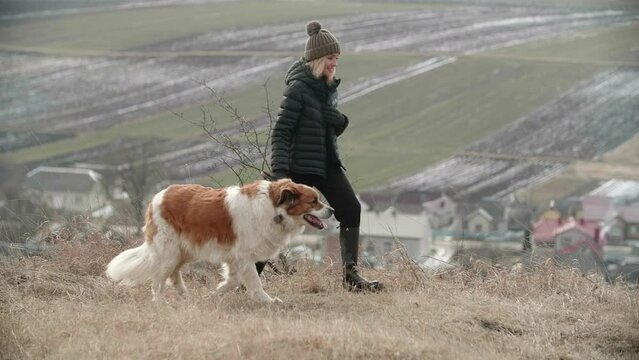 A pretty woman in a ski cap is walking with her big white and red coloured dog on a winter village background. Saint Bernard dog is walking on a leash. High quality 4k footage