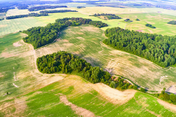 Aerial photography of disappearing forests. The concept of environmental problems