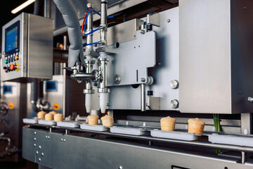 Manufacturin for automatic production of ice cream cones. Conveyor belt in waffle cups, creme brulee. Sweets modern factory. Food dairy industry, automated technology equipment and engineering concept