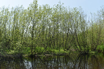 Canot Marais Kingsbury 21 Mai 2022