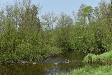 Canot Marais Kingsbury 21 Mai 2022