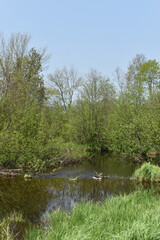 Canot Marais Kingsbury 21 Mai 2022 