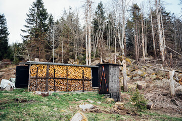 Holzstapel für den Winter. Brennholz aufgestapelt im Wald an einer Hütte