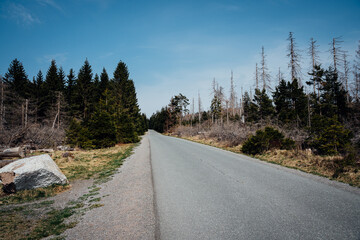 Wanderung zum Brocken auf einer Asphalt Straße